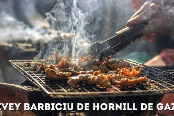 Ivey Barbiciu De Hornill De Gaz